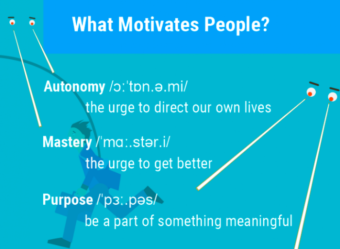 what motivated people infographic