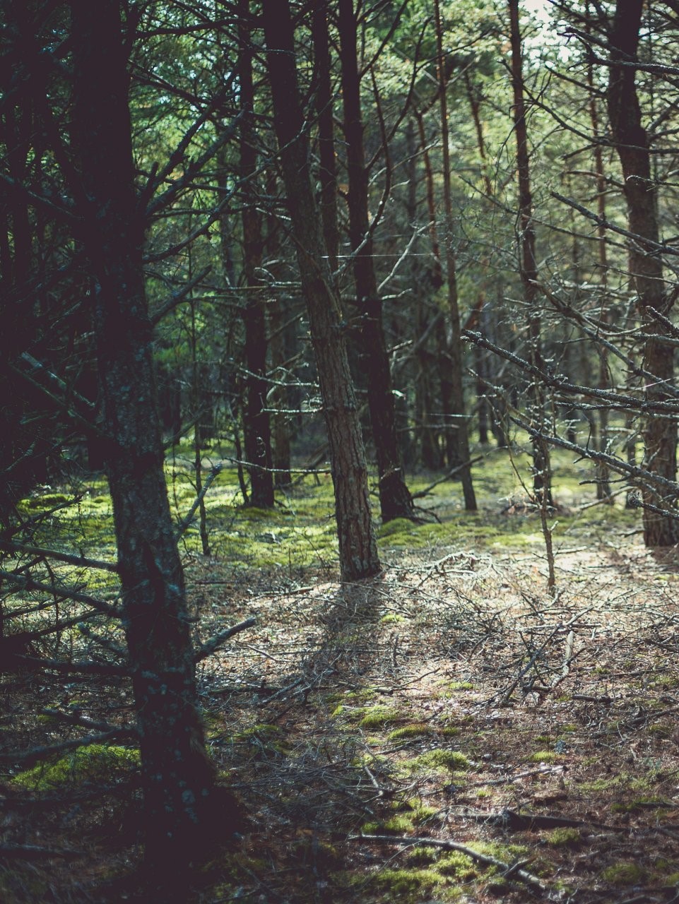 Green Weekdone Weekdone [Nature Biodiversity